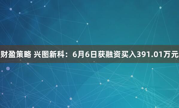 财盈策略 兴图新科：6月6日获融资买入391.01万元