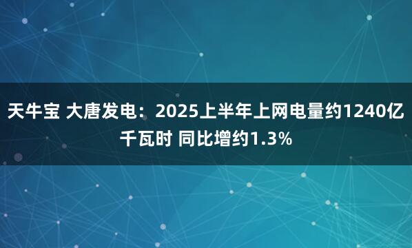 天牛宝 大唐发电：2025上半年上网电量约1240亿千瓦时 同比增约1.3%