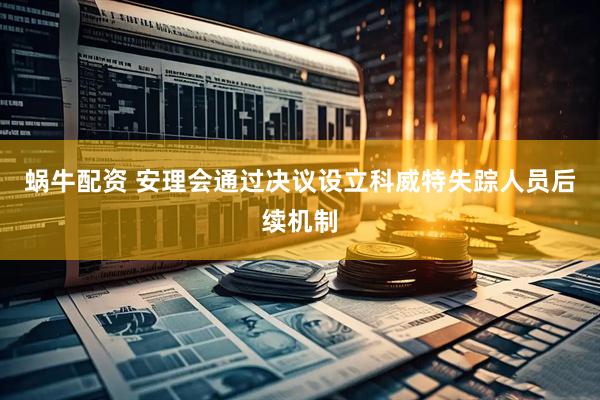 蜗牛配资 安理会通过决议设立科威特失踪人员后续机制