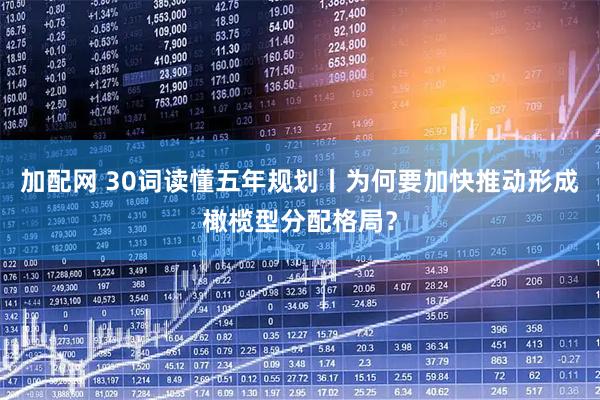 加配网 30词读懂五年规划丨为何要加快推动形成橄榄型分配格局？