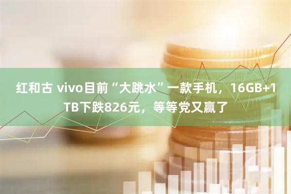 红和古 vivo目前“大跳水”一款手机,16GB+1TB下跌826元,等等党又赢了