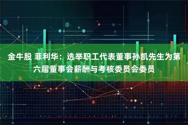 金牛股 菲利华：选举职工代表董事孙凯先生为第六届董事会薪酬与考核委员会委员
